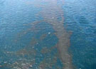 Произошедшая на Багамах авария привела к утечке более 3 тыс. литров нефти