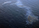 Нефтяные пятна на Дунае